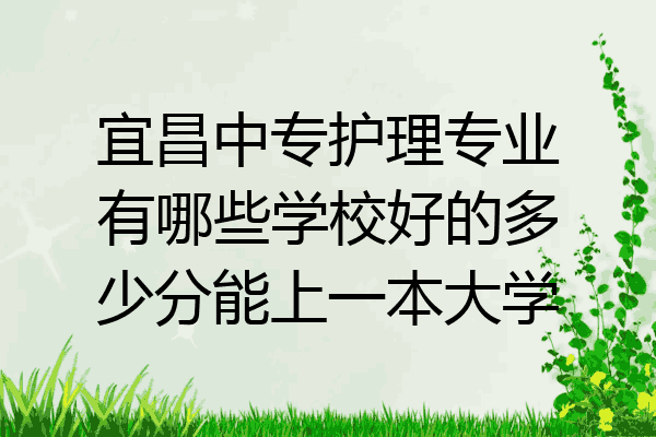 宜昌中专护理专业有哪些学校好的多少分能上一本大学