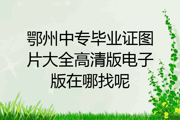 鄂州中专毕业证图片大全高清版电子版在哪找呢