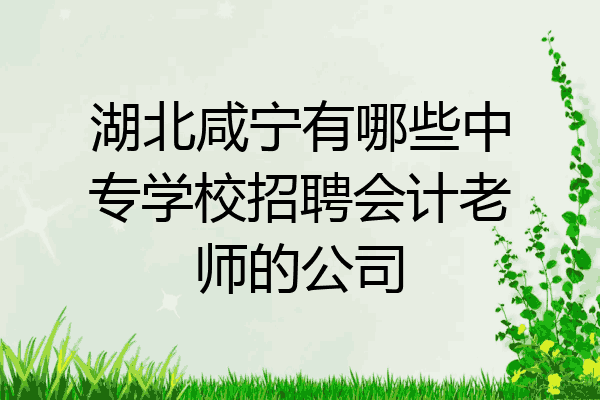 湖北咸宁有哪些中专学校招聘会计老师的公司