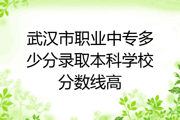 武汉市职业中专多少分录取本科学校分数线高