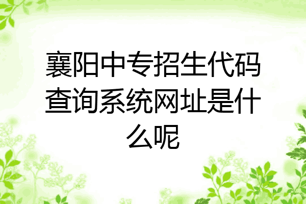 襄阳中专招生代码查询系统网址是什么呢