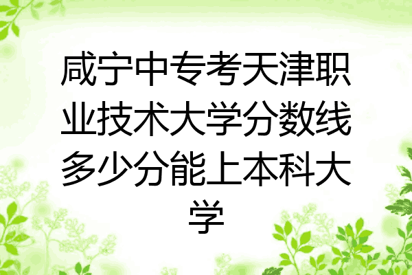 咸宁中专考天津职业技术大学分数线多少分能上本科大学