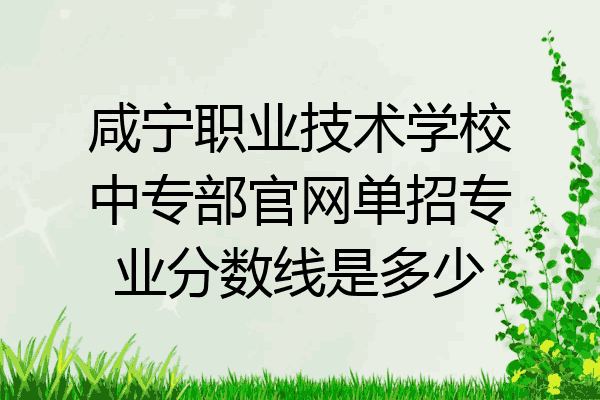 咸宁职业技术学校中专部官网单招专业分数线是多少