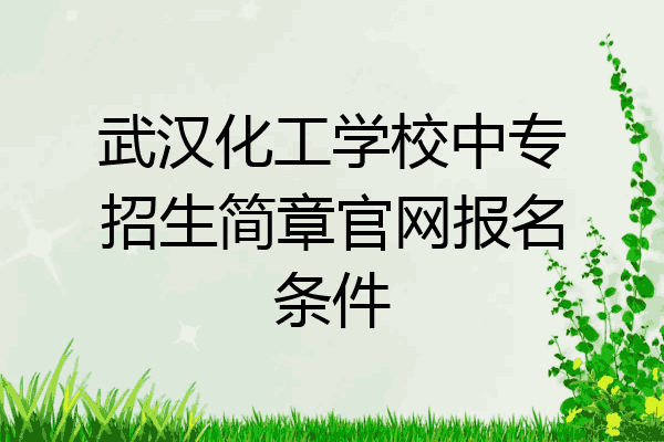 武汉化工学校中专招生简章官网报名条件