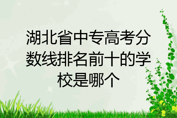 湖北省中专高考分数线排名前十的学校是哪个