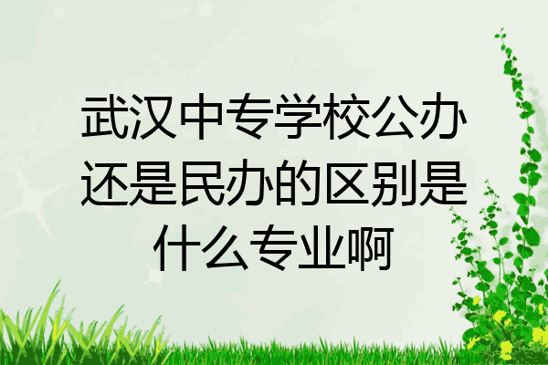 武汉中专学校公办还是民办的区别是什么专业啊