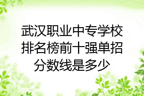 武汉职业中专学校排名榜前十强单招分数线是多少
