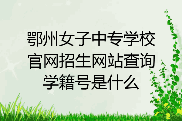 鄂州女子中专学校官网招生网站查询学籍号是什么