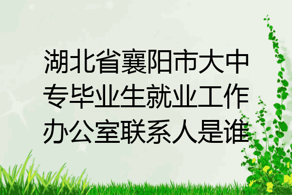 湖北省襄阳市大中专毕业生就业工作办公室联系人是谁