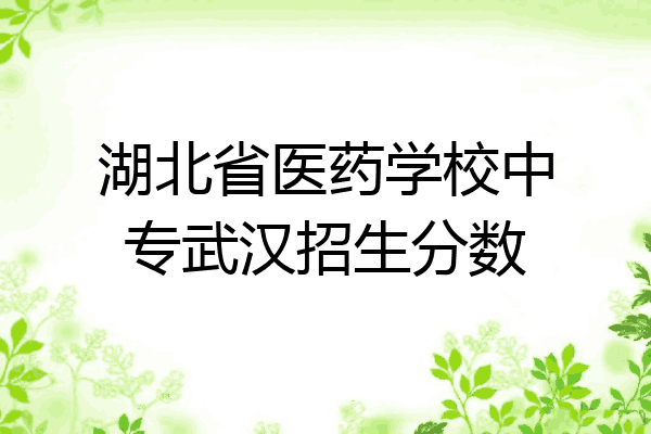 湖北省医药学校中专武汉招生分数