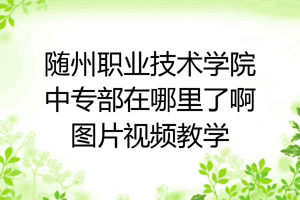 随州职业技术学院中专部在哪里了啊图片视频教学