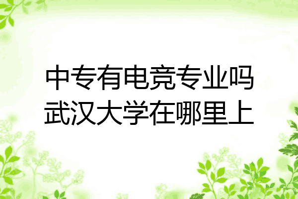 中专有电竞专业吗武汉大学在哪里上