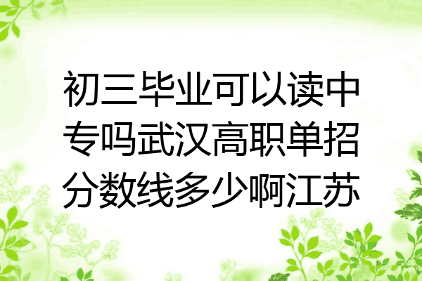 初三毕业可以读中专吗武汉高职单招分数线多少啊江苏