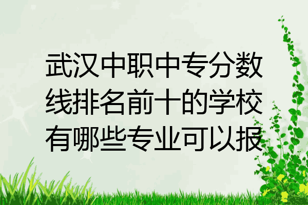 武汉中职中专分数线排名前十的学校有哪些专业可以报
