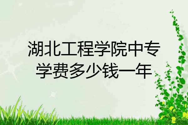湖北工程学院中专学费多少钱一年
