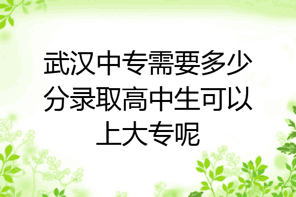 武汉中专需要多少分录取高中生可以上大专呢