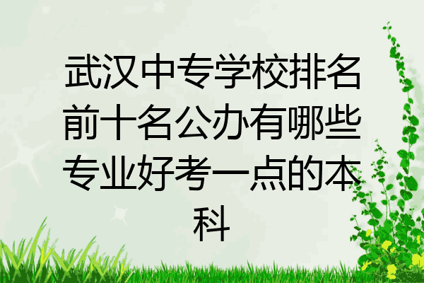 武汉中专学校排名前十名公办有哪些专业好考一点的本科
