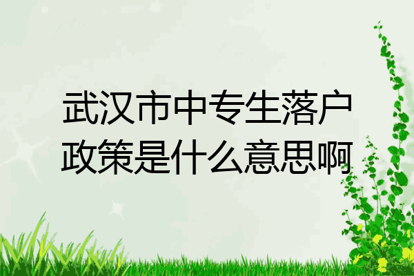 武汉市中专生落户政策是什么意思啊