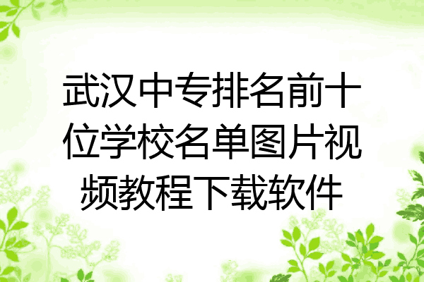 武汉中专排名前十位学校名单图片视频教程下载软件