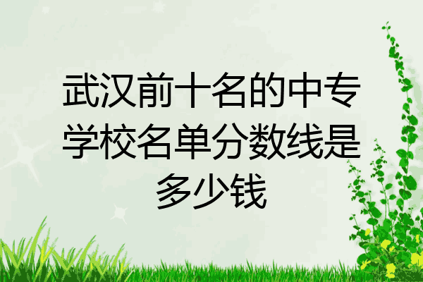 武汉前十名的中专学校名单分数线是多少钱