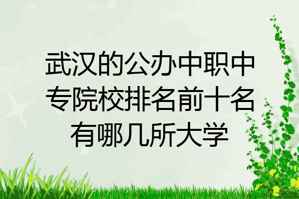 武汉的公办中职中专院校排名前十名有哪几所大学