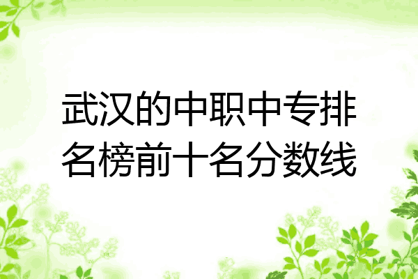 武汉的中职中专排名榜前十名分数线
