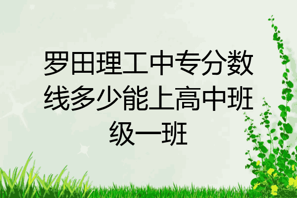 罗田理工中专分数线多少能上高中班级一班