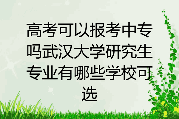 高考可以报考中专吗武汉大学研究生专业有哪些学校可选