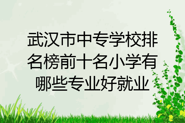 武汉市中专学校排名榜前十名小学有哪些专业好就业