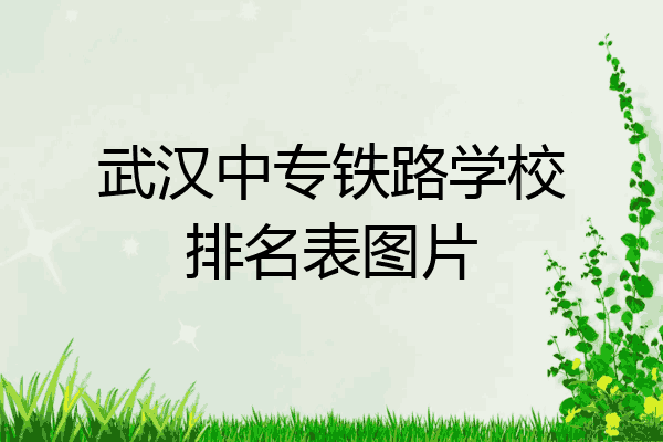武汉中专铁路学校排名表图片