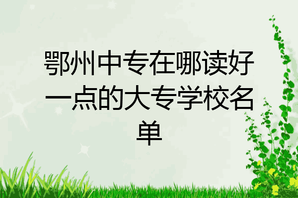 鄂州中专在哪读好一点的大专学校名单