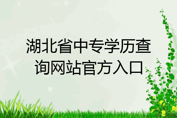 湖北省中专学历查询网站官方入口