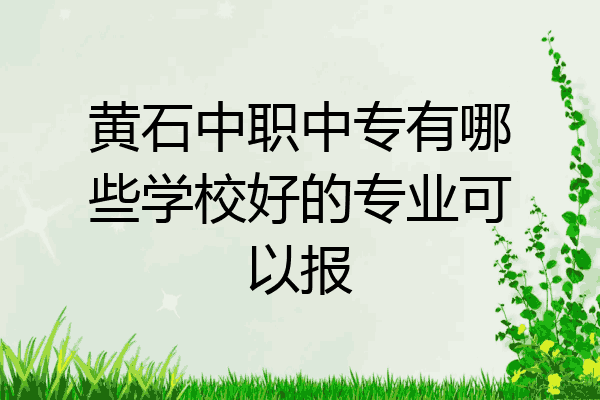 黄石中职中专有哪些学校好的专业可以报