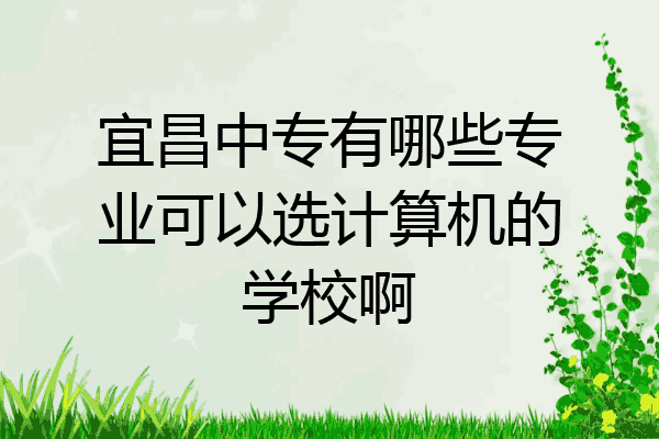宜昌中专有哪些专业可以选计算机的学校啊