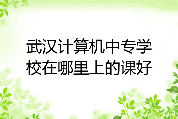 武汉计算机中专学校在哪里上的课好