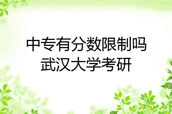 中专有分数限制吗武汉大学考研