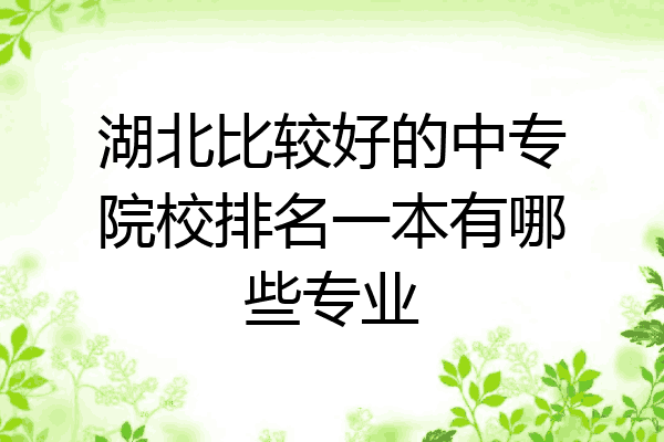 湖北比较好的中专院校排名一本有哪些专业