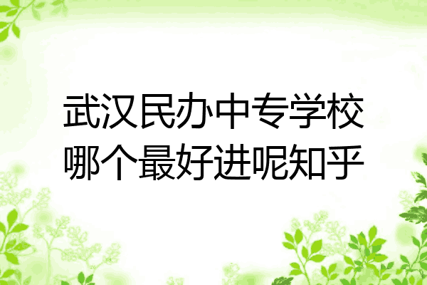 武汉民办中专学校哪个最好进呢知乎