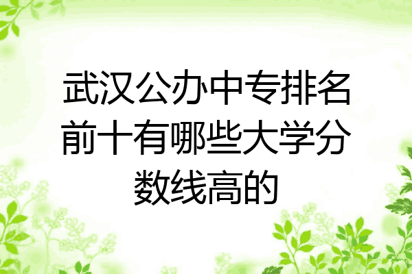 武汉公办中专排名前十有哪些大学分数线高的