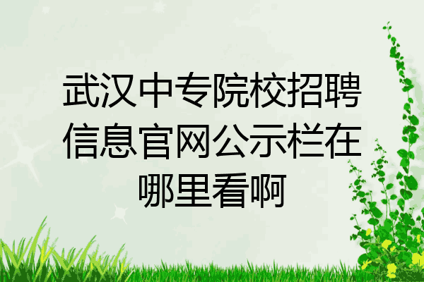 武汉中专院校招聘信息官网公示栏在哪里看啊