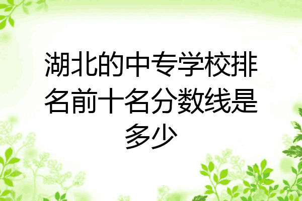 湖北的中专学校排名前十名分数线是多少