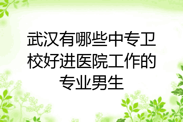 武汉有哪些中专卫校好进医院工作的专业男生