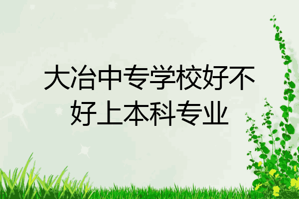 大冶中专学校好不好上本科专业