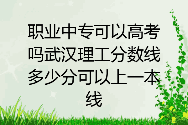 职业中专可以高考吗武汉理工分数线多少分可以上一本线