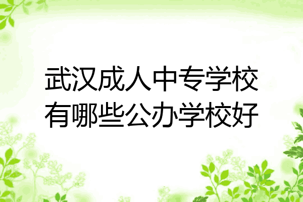 武汉成人中专学校有哪些公办学校好