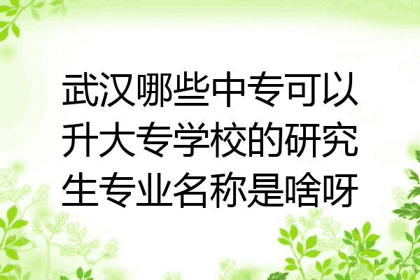 武汉哪些中专可以升大专学校的研究生专业名称是啥呀