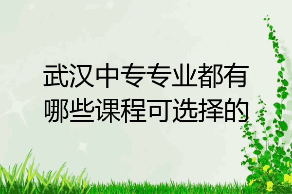武汉中专专业都有哪些课程可选择的