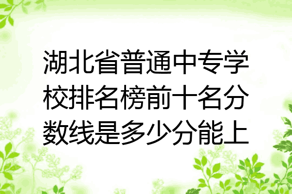 湖北省普通中专学校排名榜前十名分数线是多少分能上