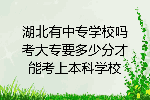 湖北有中专学校吗考大专要多少分才能考上本科学校