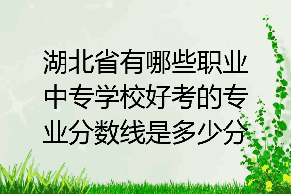湖北省有哪些职业中专学校好考的专业分数线是多少分